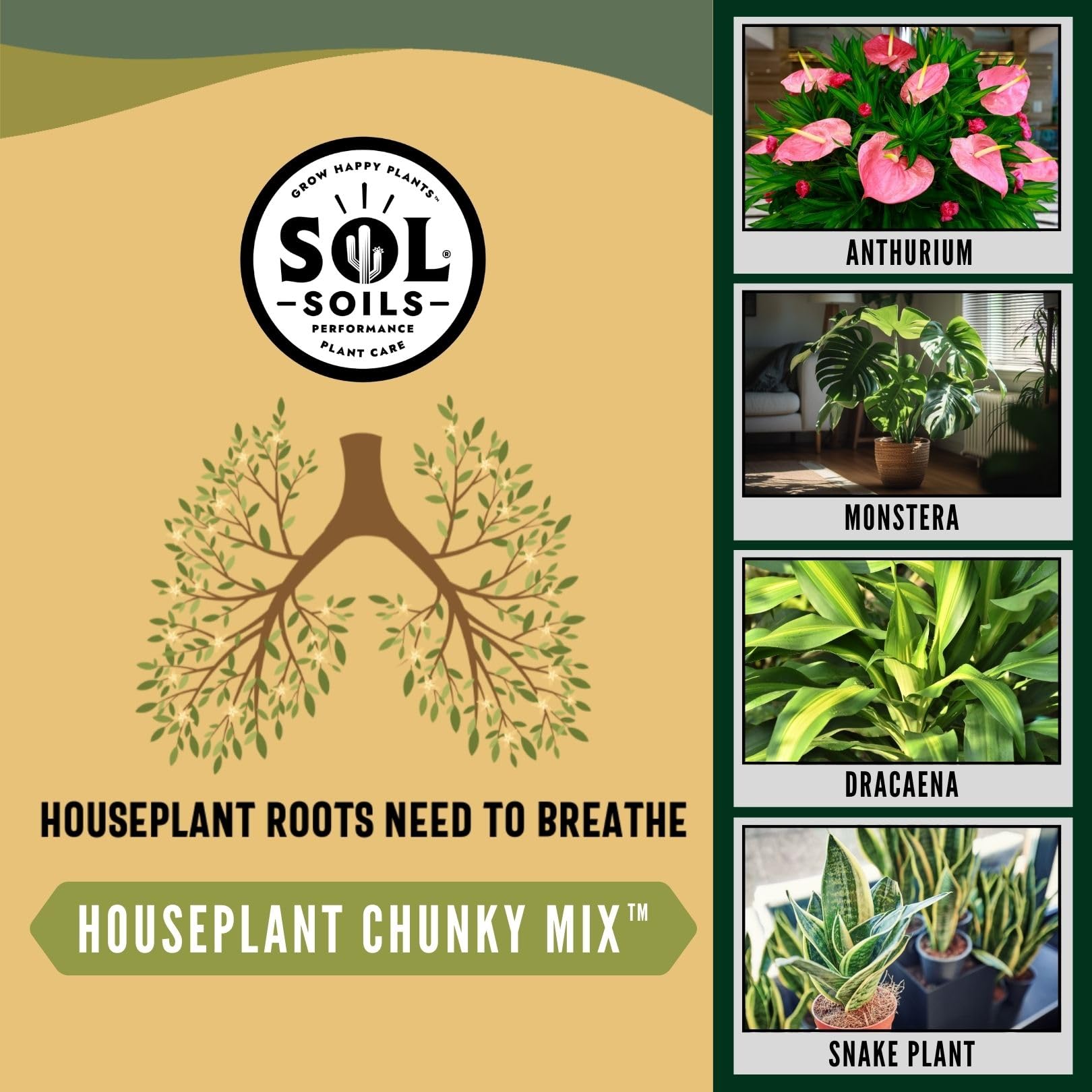 sol soils lifestyle shelved plants showing attractive indoor growth benefit