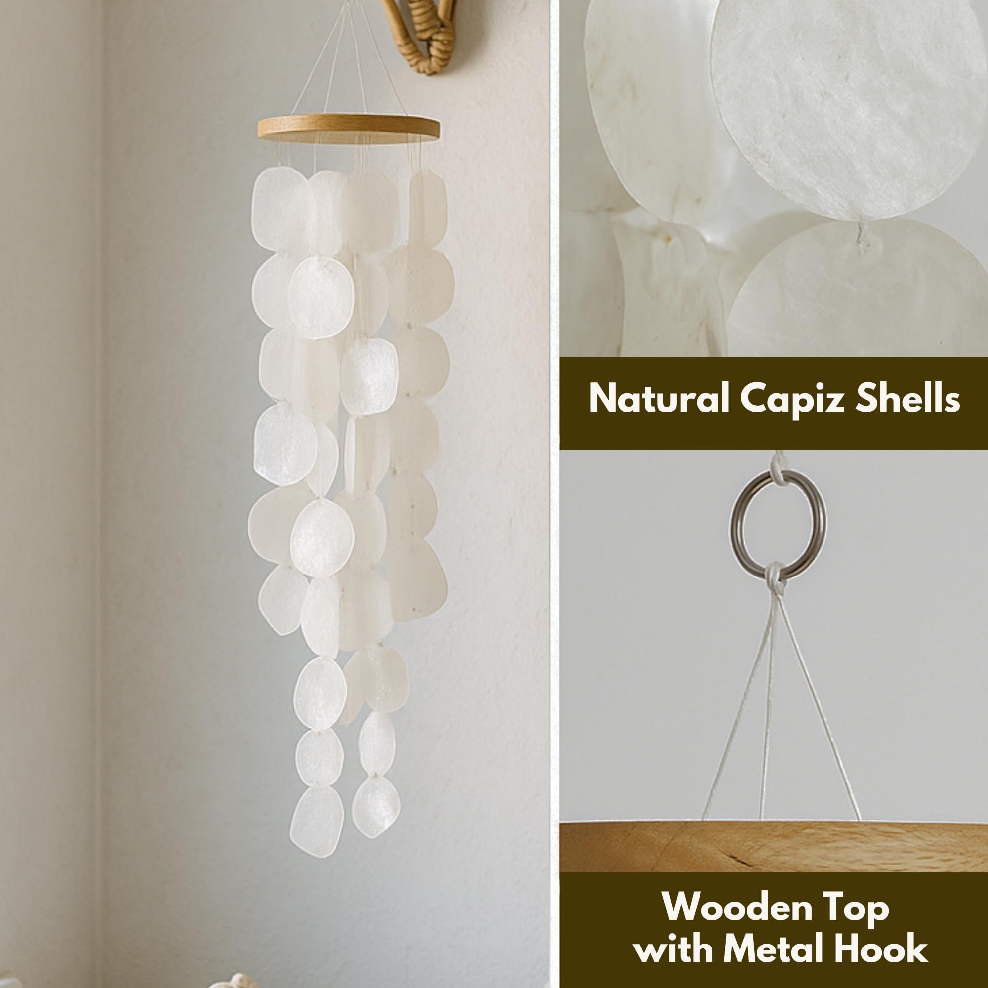 Solange & Frances shells reflecting light to brighten outdoor or indoor spaces