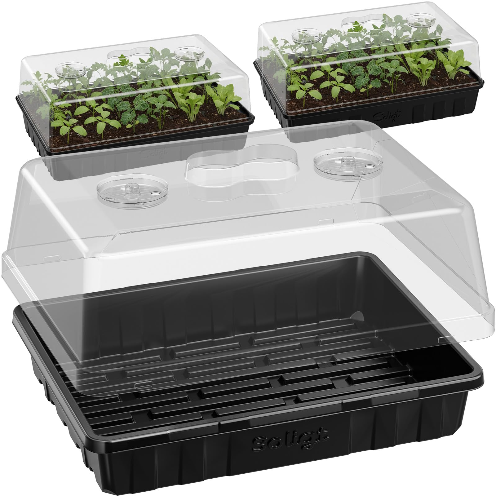 SOLIGT front view of three starter trays and three clear domes showing full kit benefits