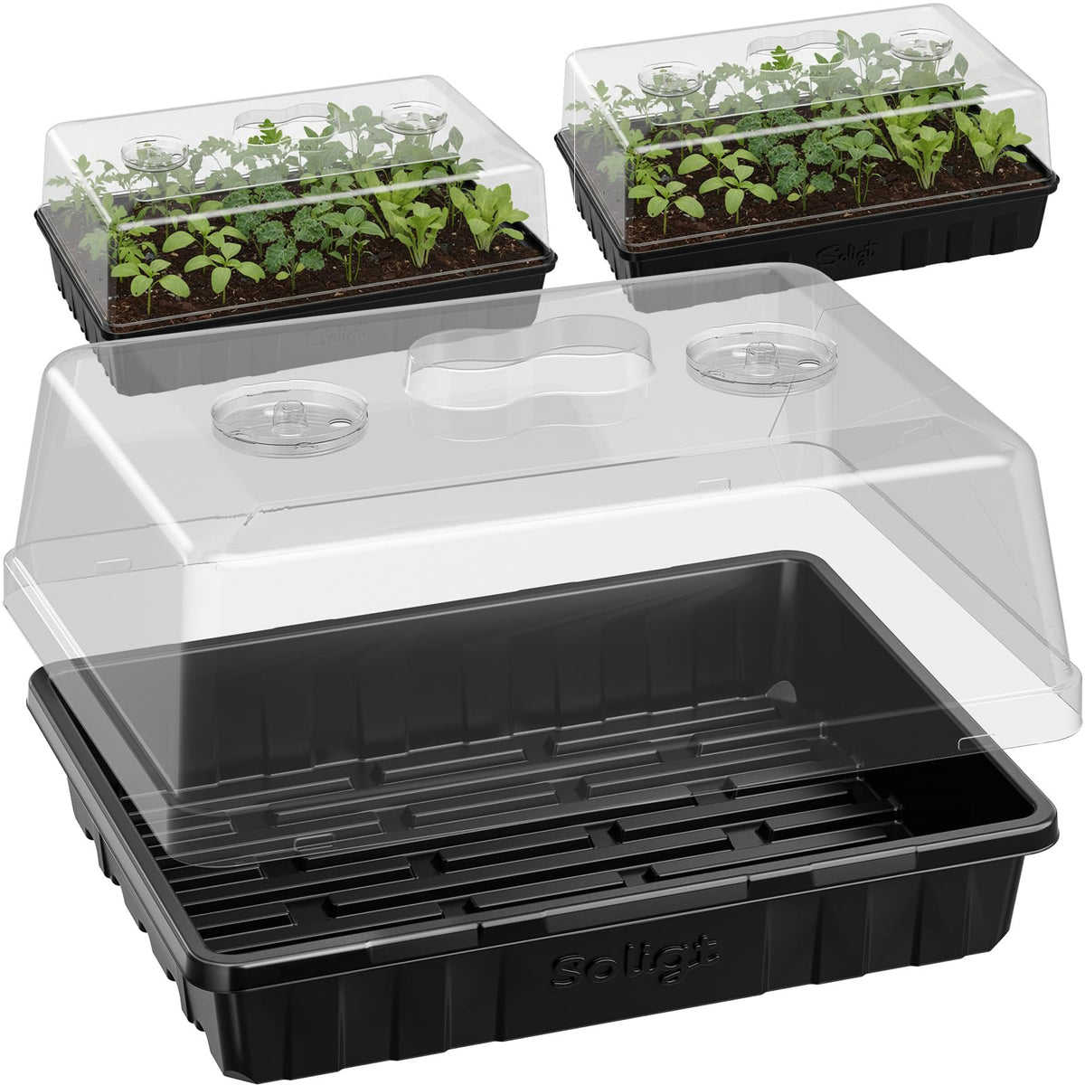 SOLIGT front view of three starter trays and three clear domes showing full kit benefits