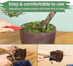 SOLIGT root rake and root pick used to clear soil from roots for easier repotting