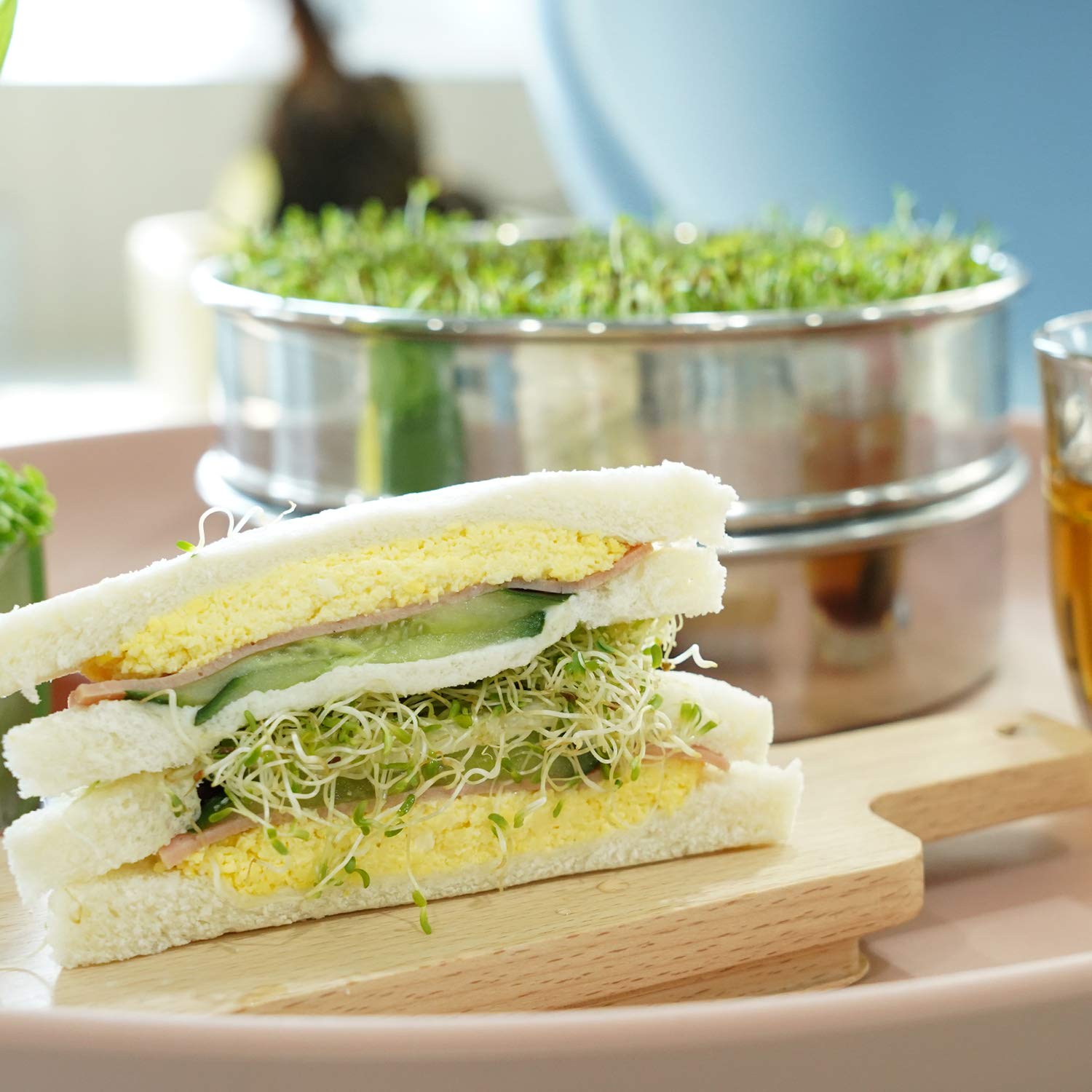 SOLIGT held in hand to show scale and portable countertop sprouting convenience