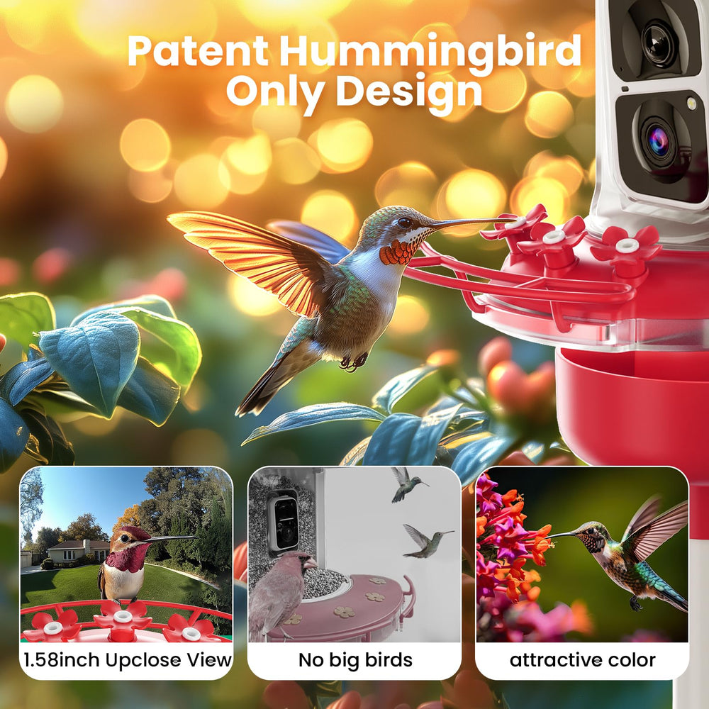 SOLIOM app live view on phone capturing bird visit and sending instant alerts