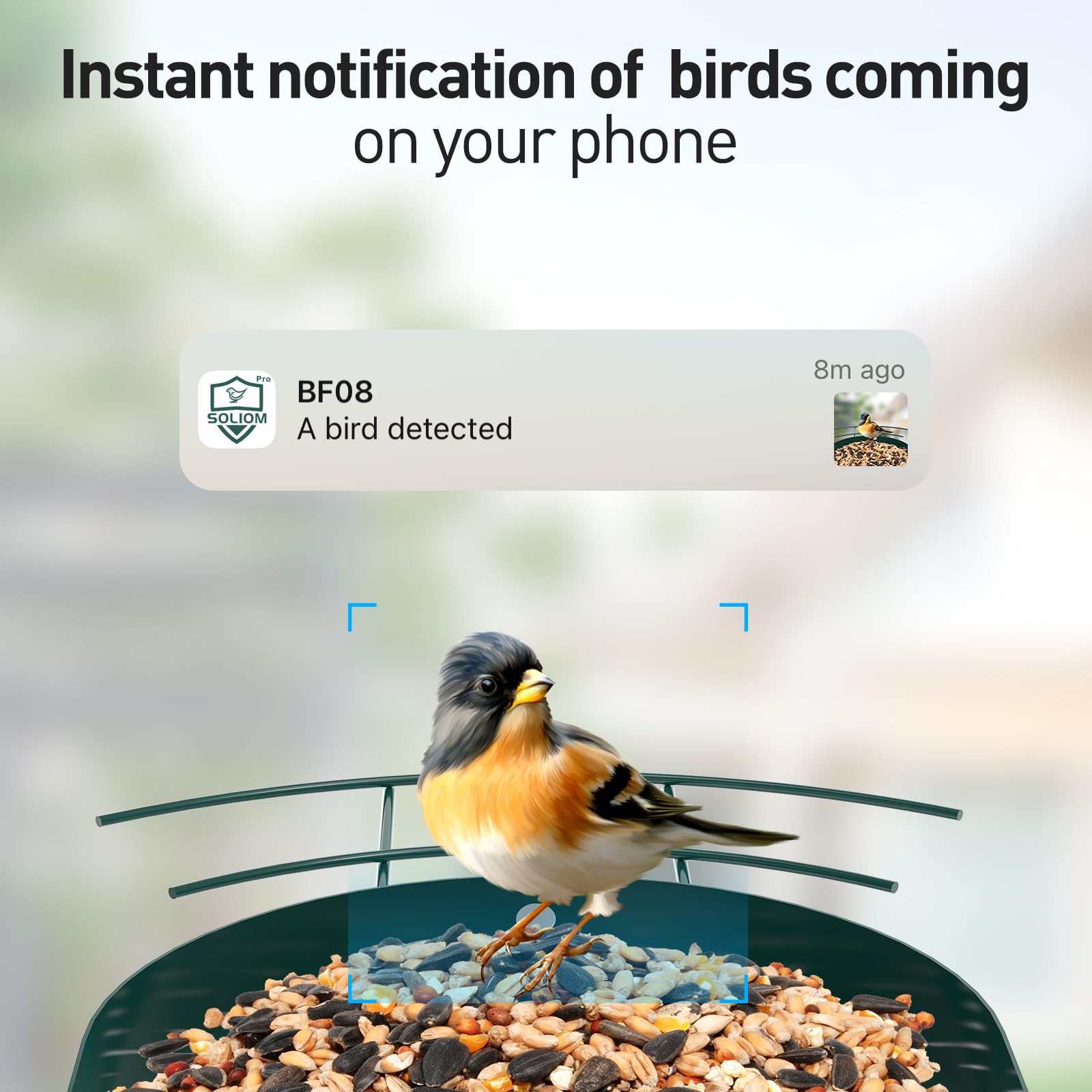 SOLIOM camera close-up capturing feathers and details for clearer identification