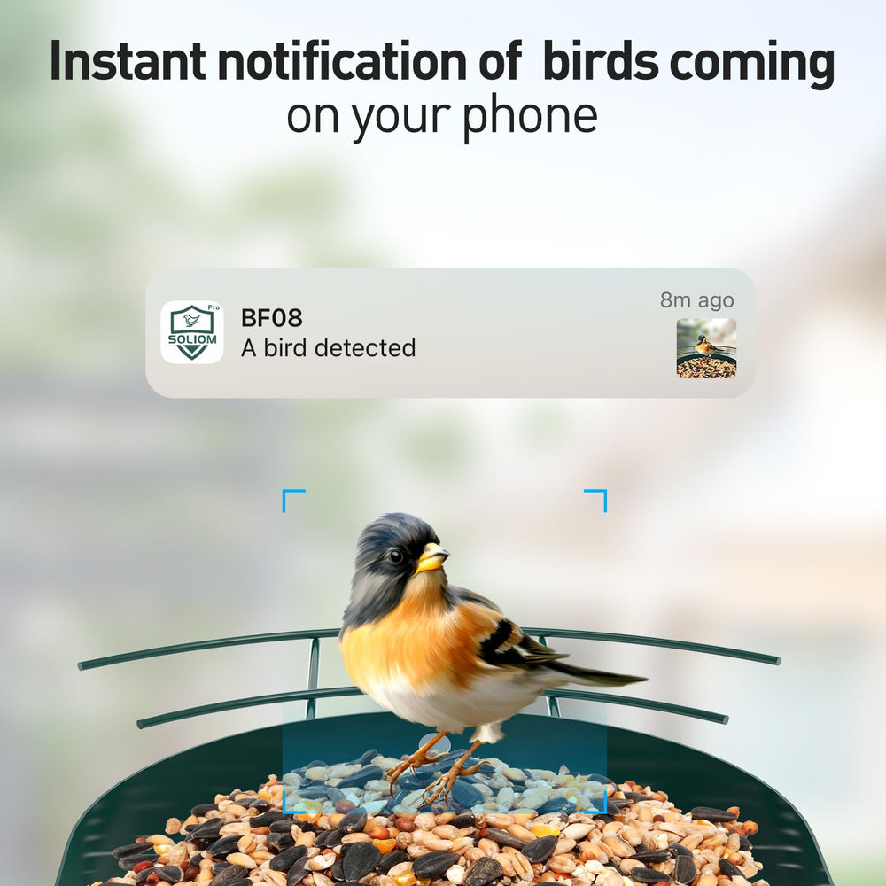 SOLIOM camera close-up capturing feathers and details for clearer identification