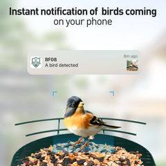 SOLIOM camera close-up capturing feathers and details for clearer identification