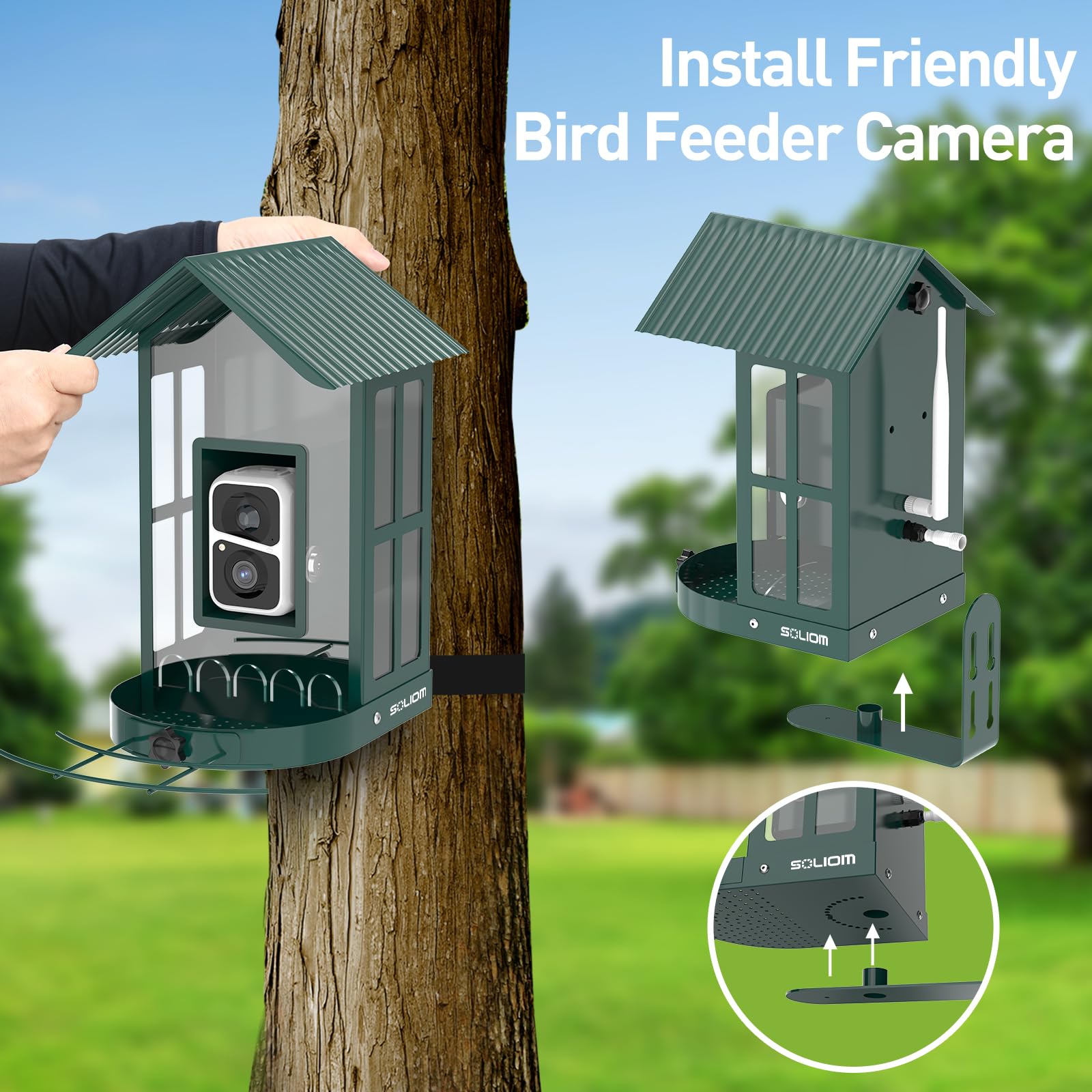 SOLIOM feeder in backyard with visiting birds for live observation