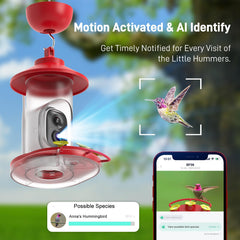 SOLIOM feeder in use with hummingbird demonstrating near-field footage