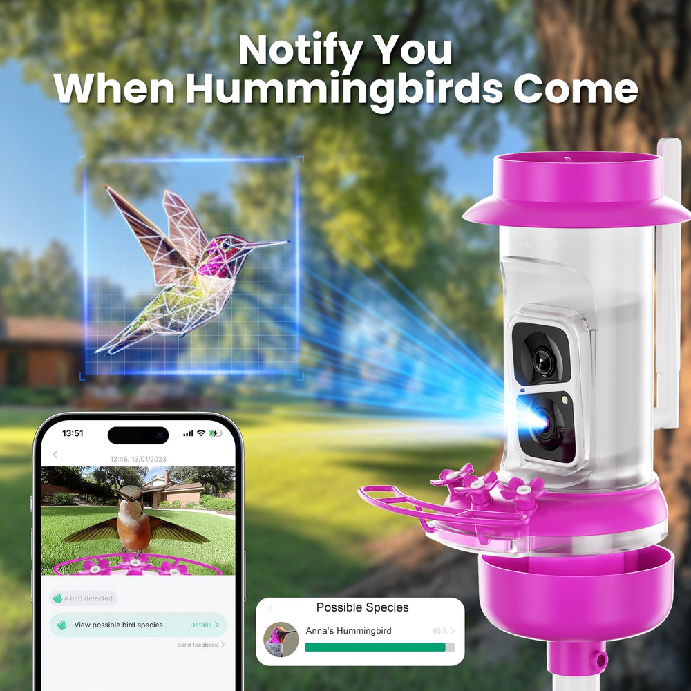 SOLIOM app screenshot showing AI hummingbird identification and instant alerts
