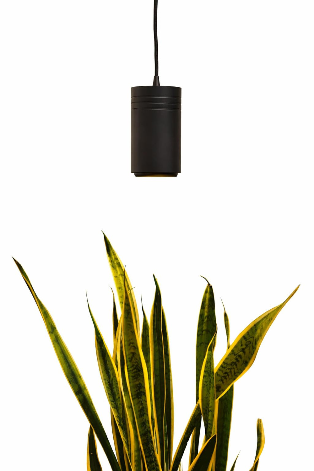 Soltech Aspect Gen 2 front pendant showing sleek black design and ambient benefit