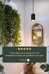 Soltech Aspect Gen 2 illuminating houseplants showing healthier foliage benefit