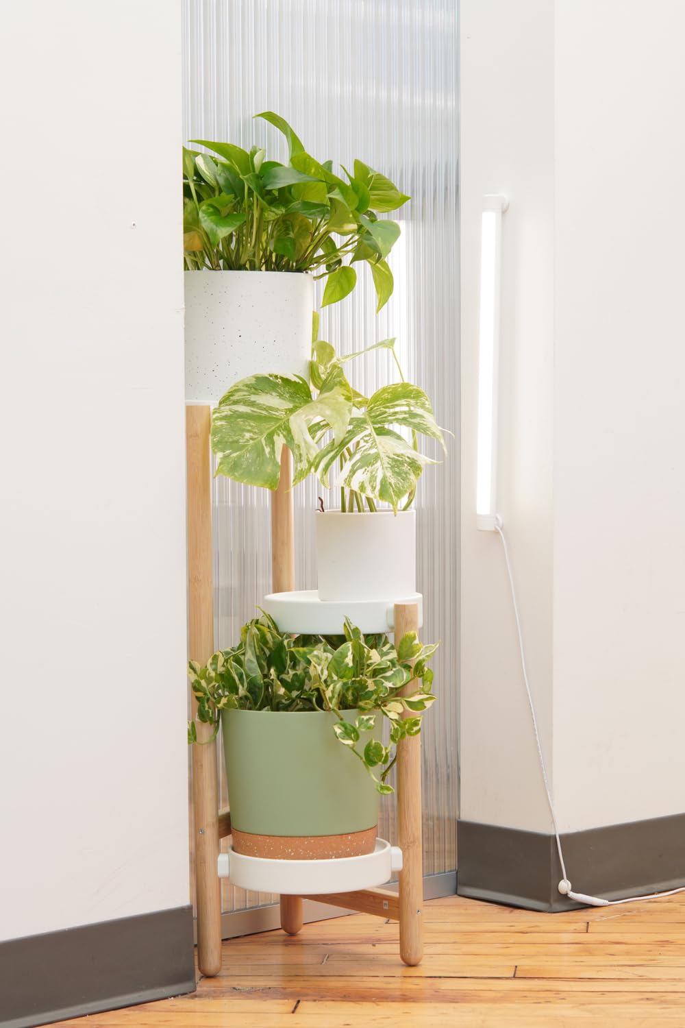 Soltech Grove next to herb pots to show scale and consistent beneficial lighting
