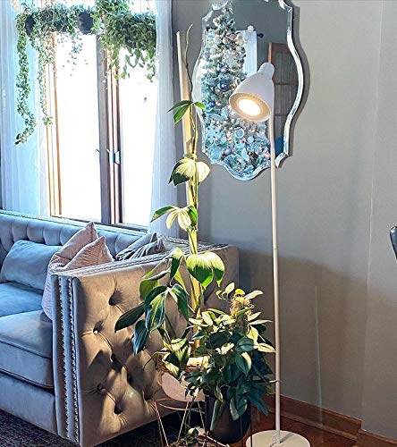 Soltech Vita on desk with plants showing warm 3000K light blending with home decor benefit