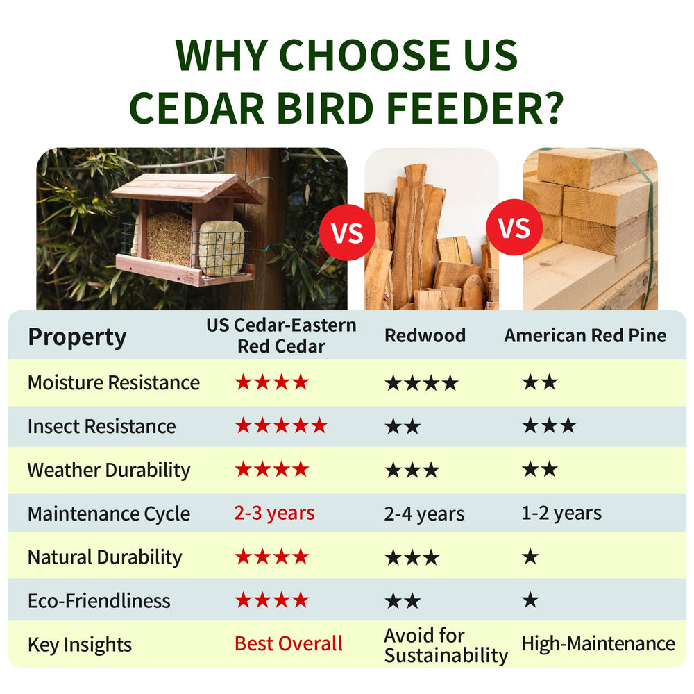 Solution4Patio clear window view to easily check seed levels and attract birds
