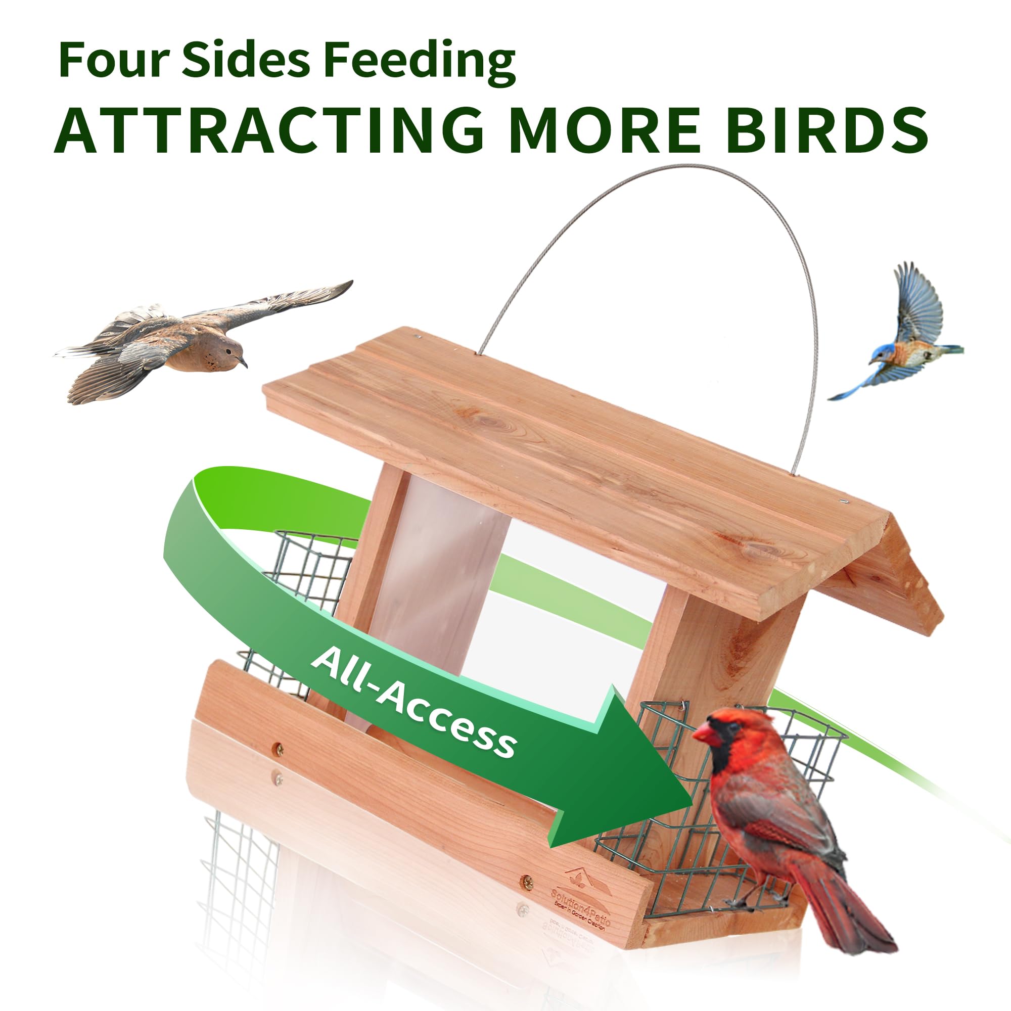 Solution4Patio double suet cages visible holding suet cakes for diverse birds