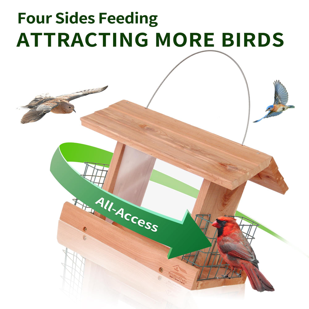 Solution4Patio double suet cages visible holding suet cakes for diverse birds