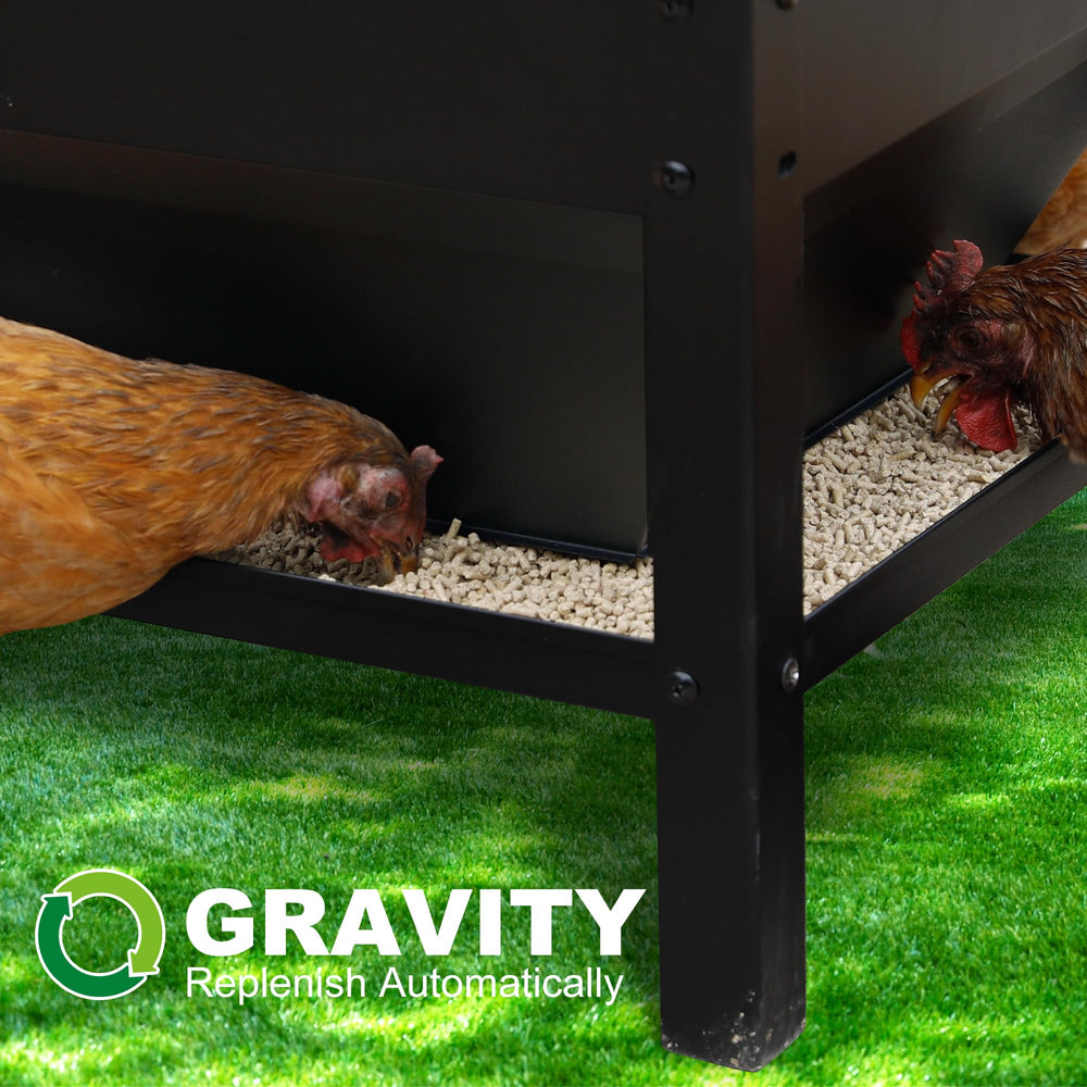Solution4Patio feed trough with chickens illustrating reduced waste benefit
