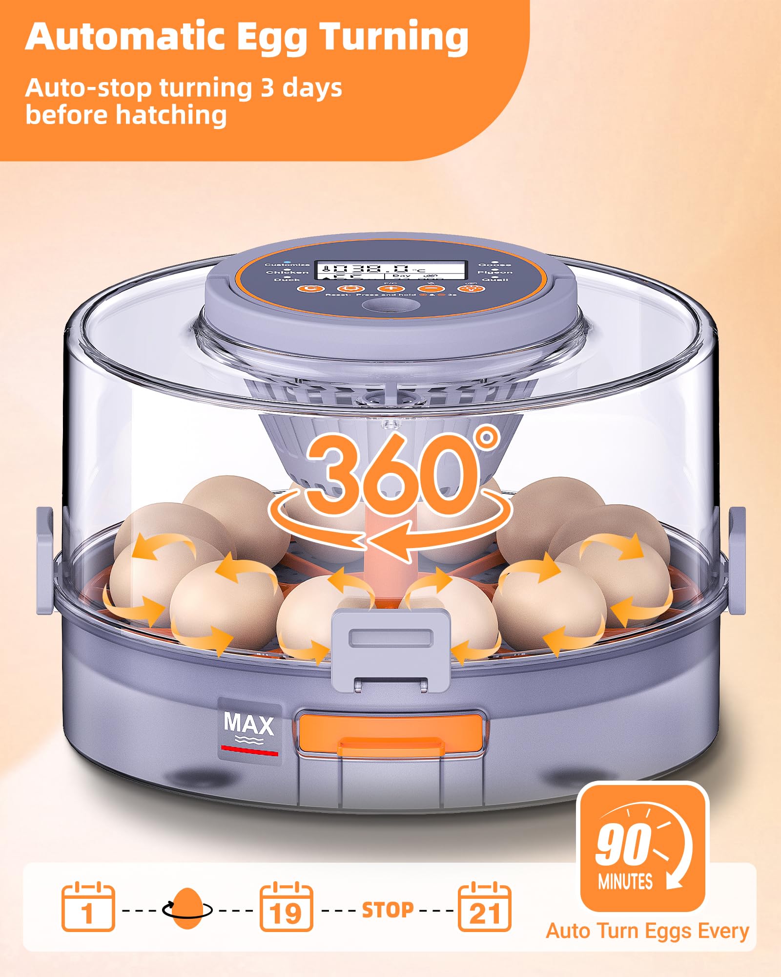 Somferic candling light illuminating an egg for noninvasive embryo checks and reassurance
