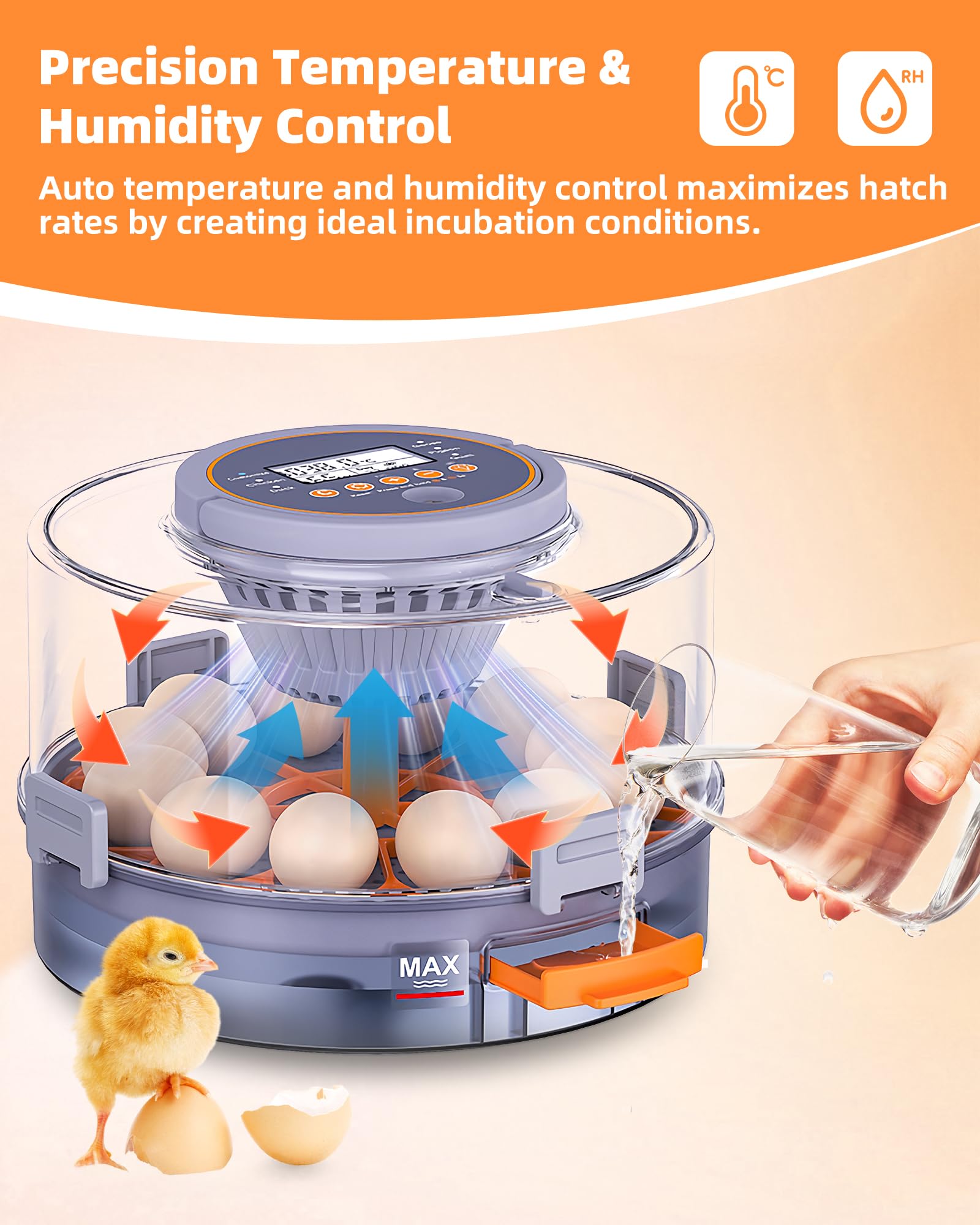 Somferic egg tray loaded with mixed eggs demonstrating compatible capacity and organization
