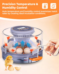 Somferic egg tray loaded with mixed eggs demonstrating compatible capacity and organization