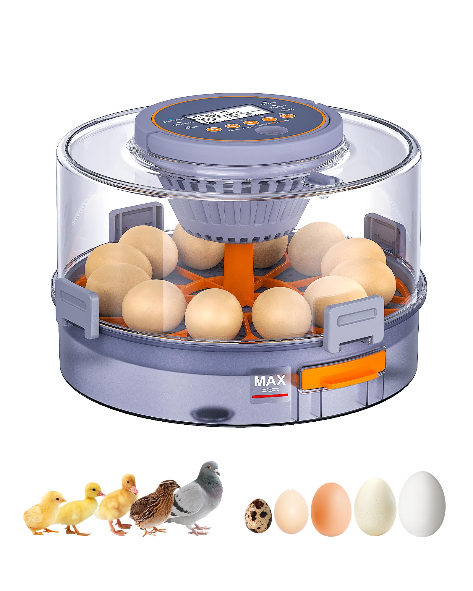 Somferic front view showing clear lid and tray for easy monitoring and stable incubation