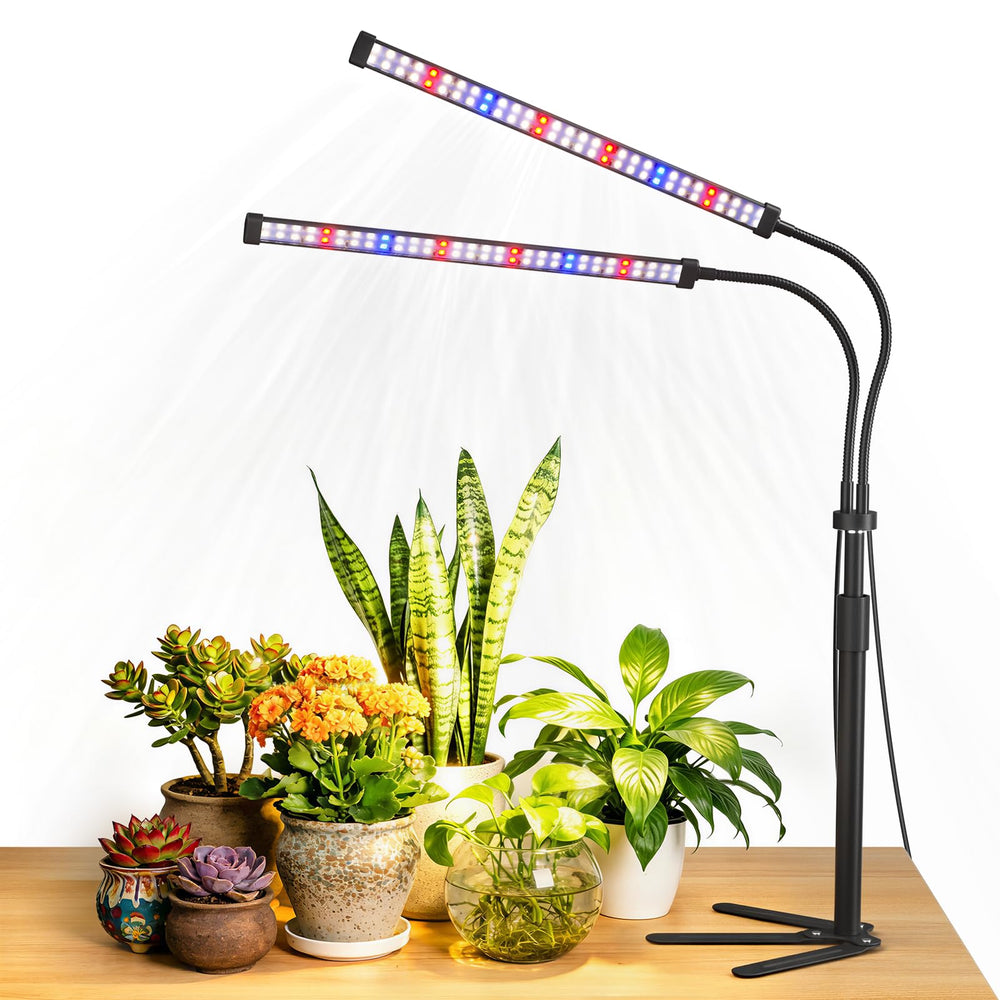 Sonamindary front view showing dual heads and even coverage for multiple plants