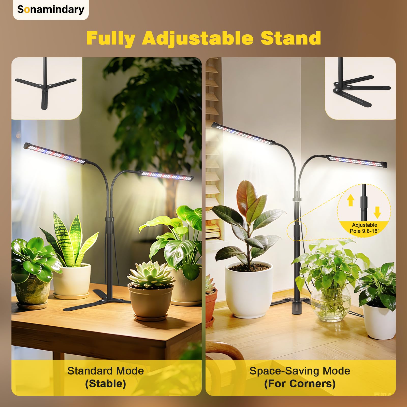 Sonamindary in a living room over houseplants showing natural color and utility