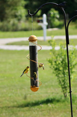 Songbird Essentials feeder hanging in garden with finch feeding, improving backyard bird viewing