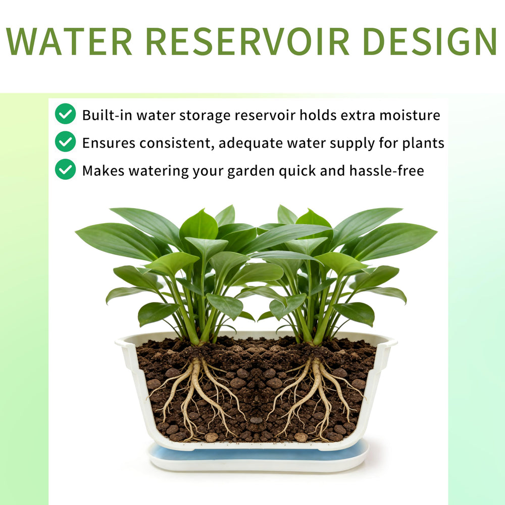 SORANGEUN set arranged on kitchen windowsill with herbs, maximizes small-space gardening