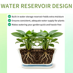 SORANGEUN set arranged on kitchen windowsill with herbs, maximizes small-space gardening