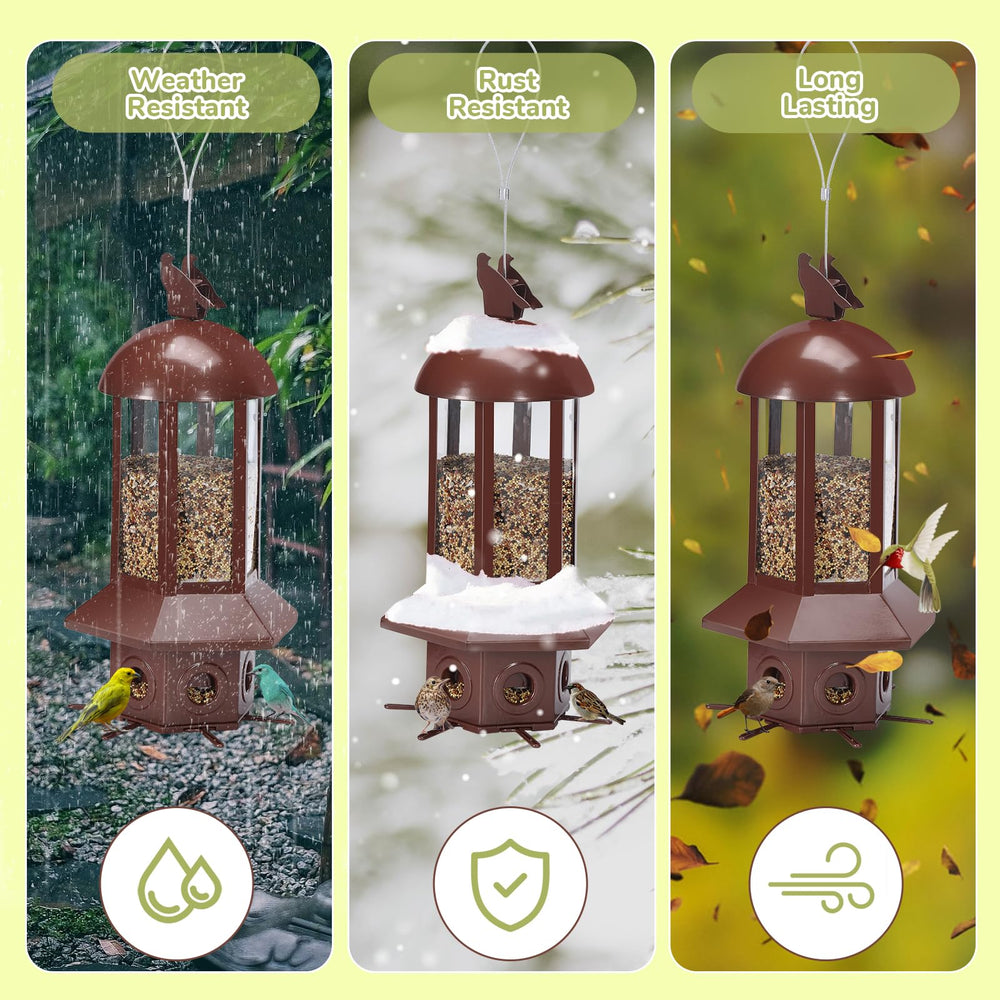 Sorflife feeder hanging in tree benefit: easy placement for safe bird feeding
