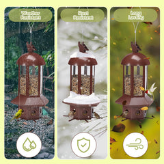 Sorflife feeder hanging in tree benefit: easy placement for safe bird feeding