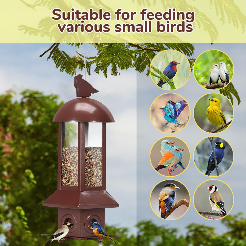 Sorflife feeder with seed visible to show 5.06 lb capacity benefit: reduces refills