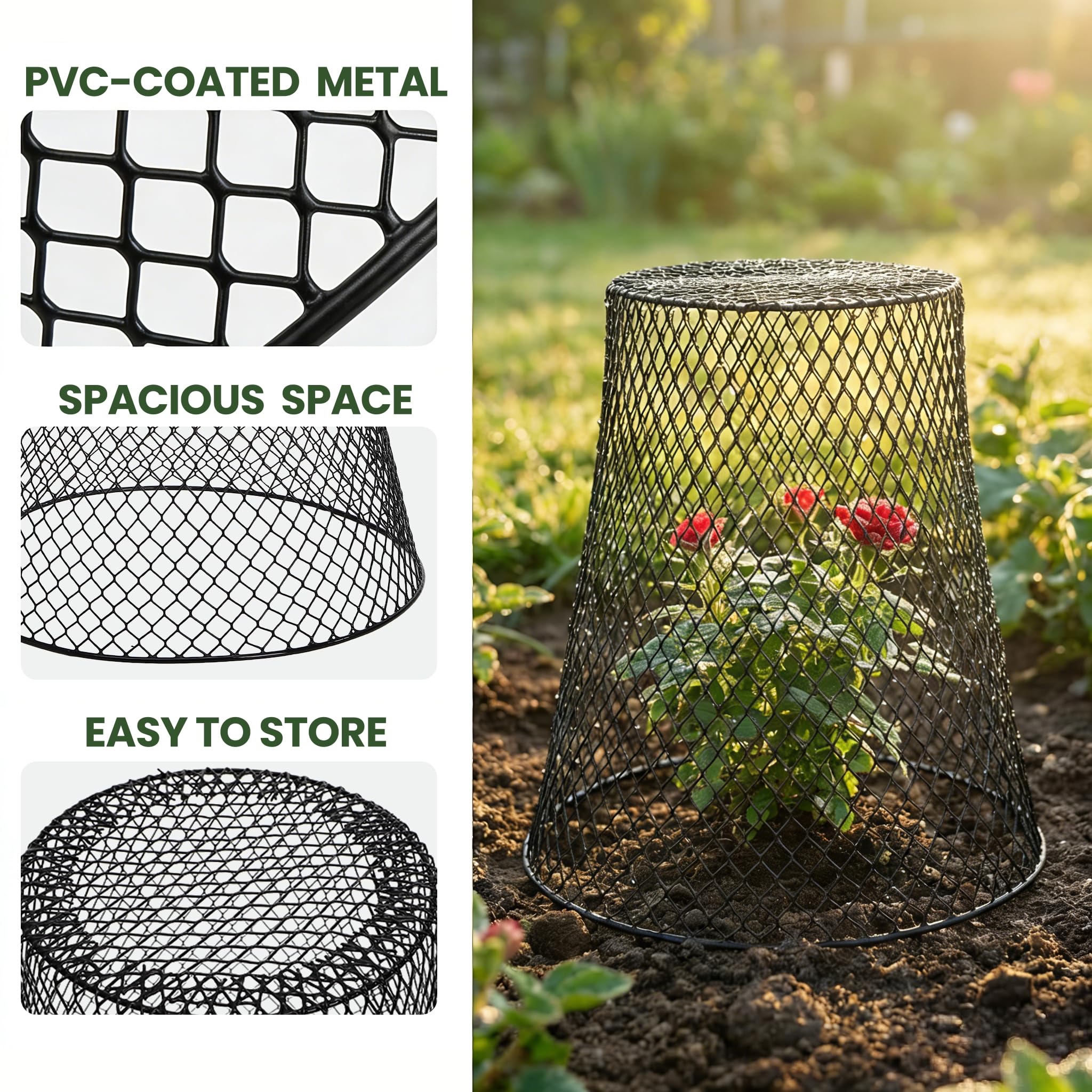 SOUJOY single cloche placed over potted herb showing plant protection and light access