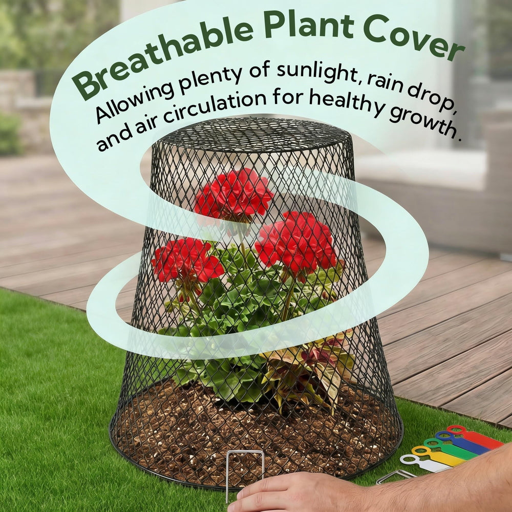 SOUJOY cloche secured to soil with fixing pins showing wind-stability benefit
