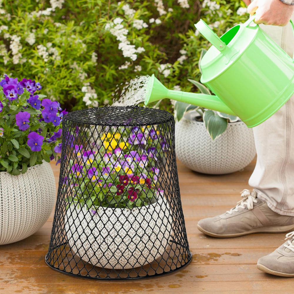 SOUJOY cloche in garden setting protecting young plants outdoors