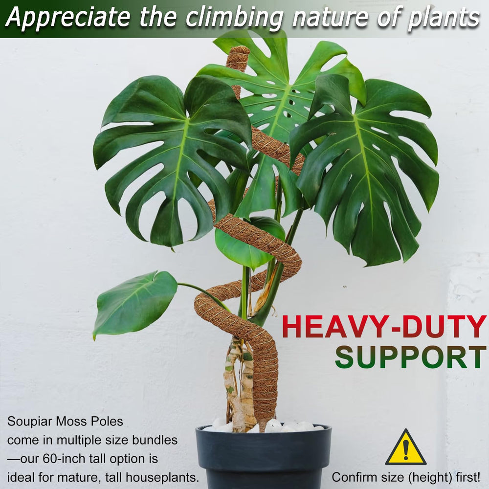 Soupiar bent aluminum core demonstrating easy shaping and stability