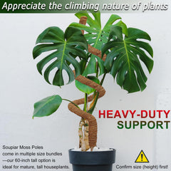 Soupiar bent aluminum core demonstrating easy shaping and stability