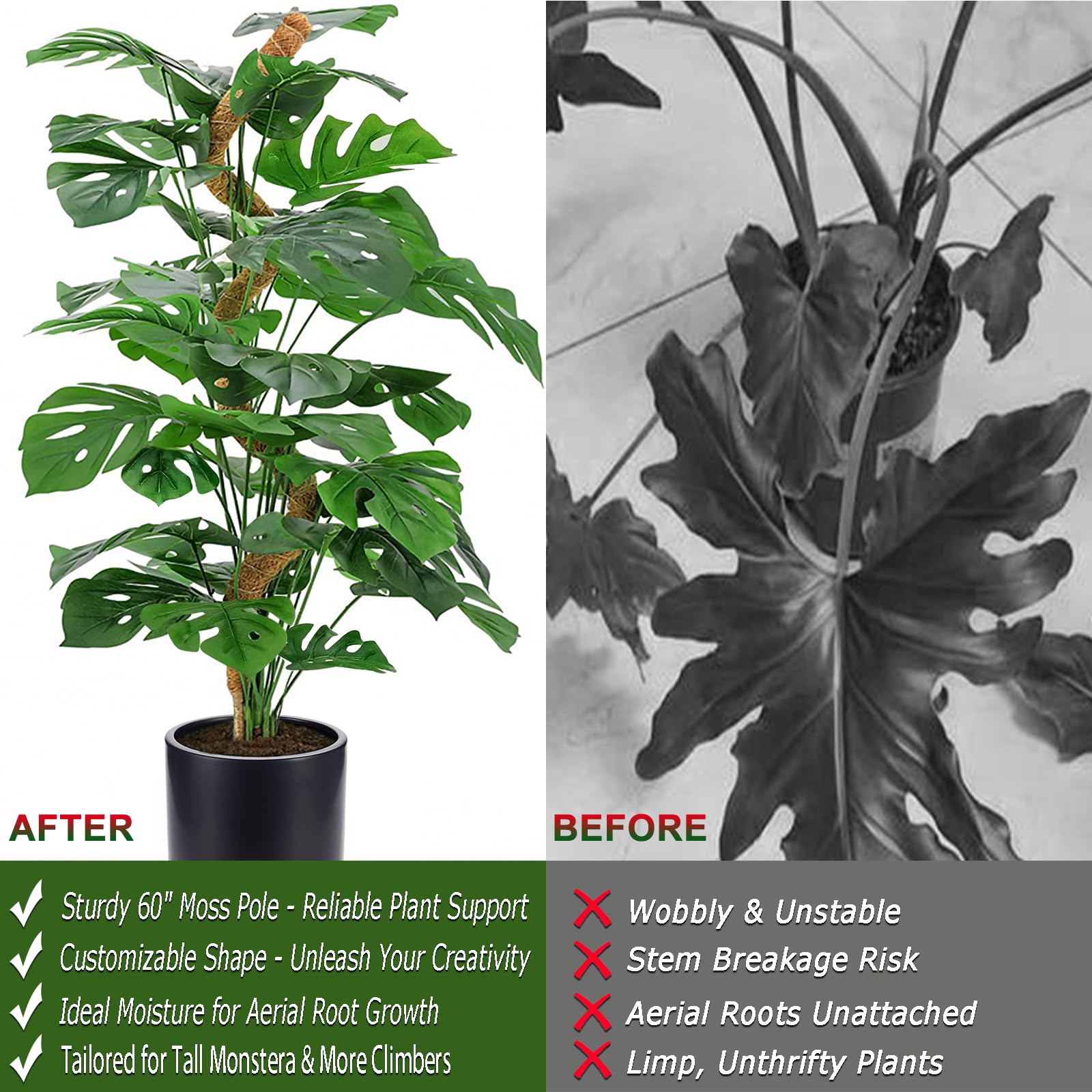 Soupiar moss pole supporting a Monstera plant for upright growth