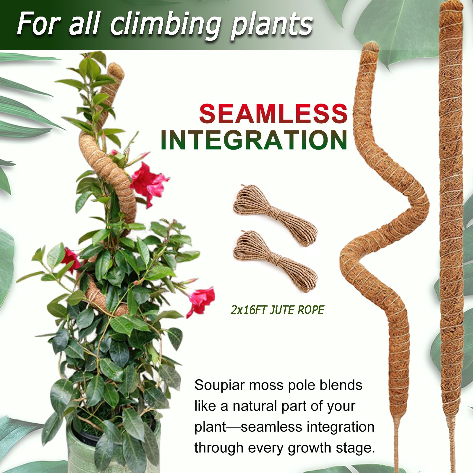Soupiar natural jute rope tied gently to stems protecting foliage