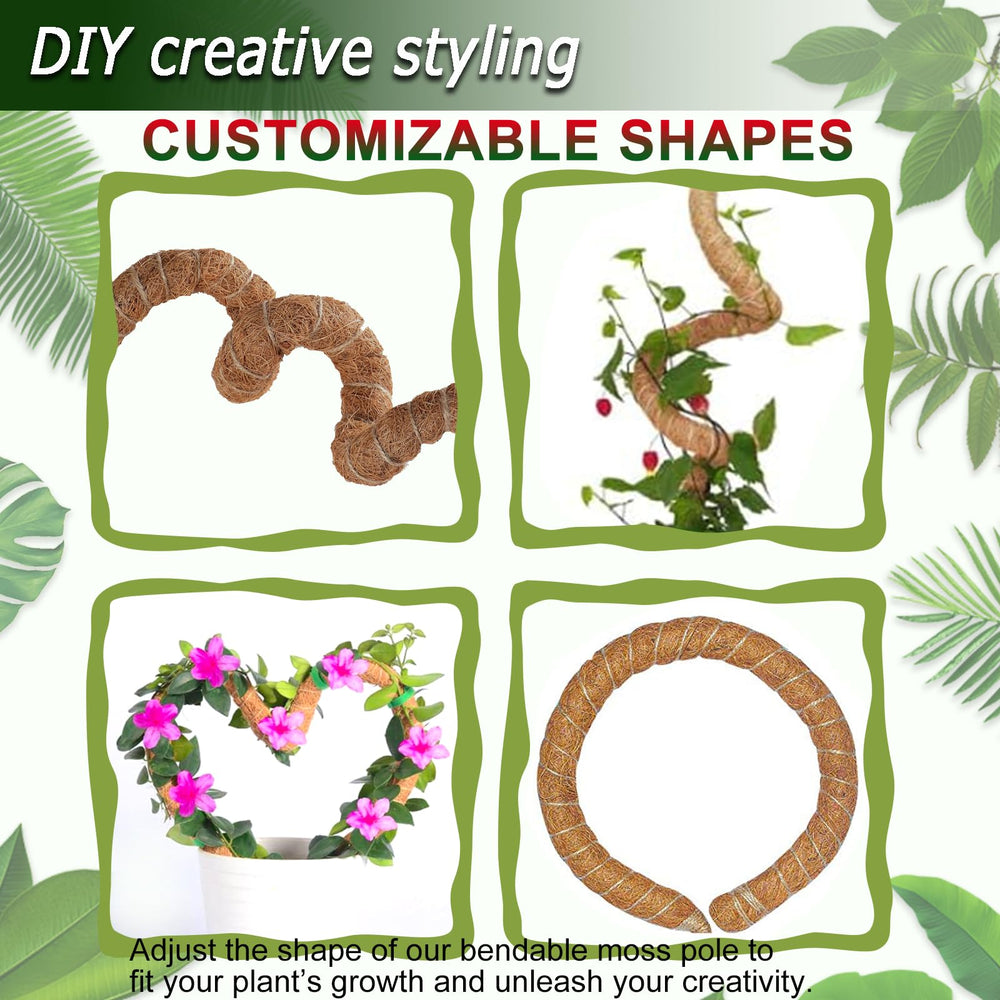 Soupiar lifestyle shelf display with supported vining plants for visual impact