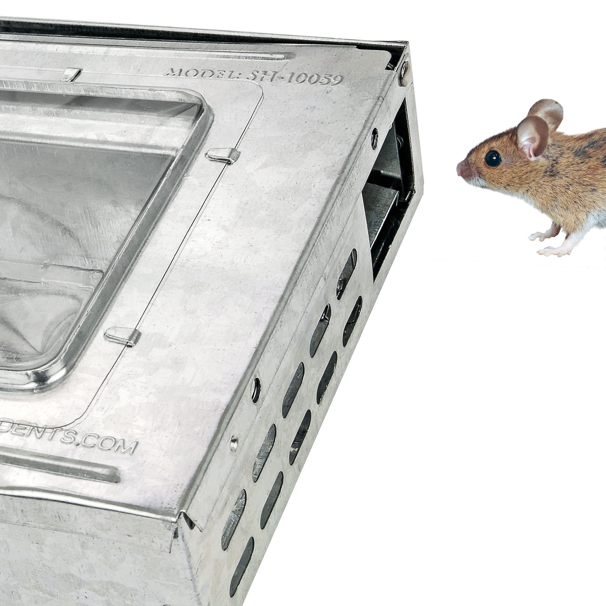 Southern Homewares trap placed along baseboard demonstrating easy in-home use and concealment