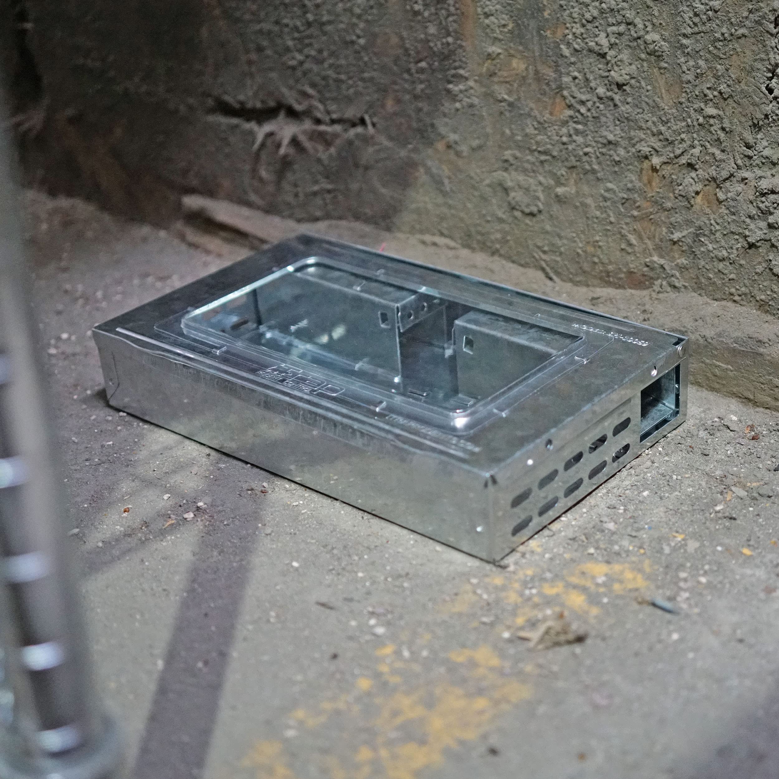 Southern Homewares two traps together illustrating the 2-pack convenience and immediate coverage