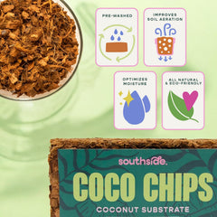Southside Plants close-up of coco chip texture highlighting airy structure benefit
