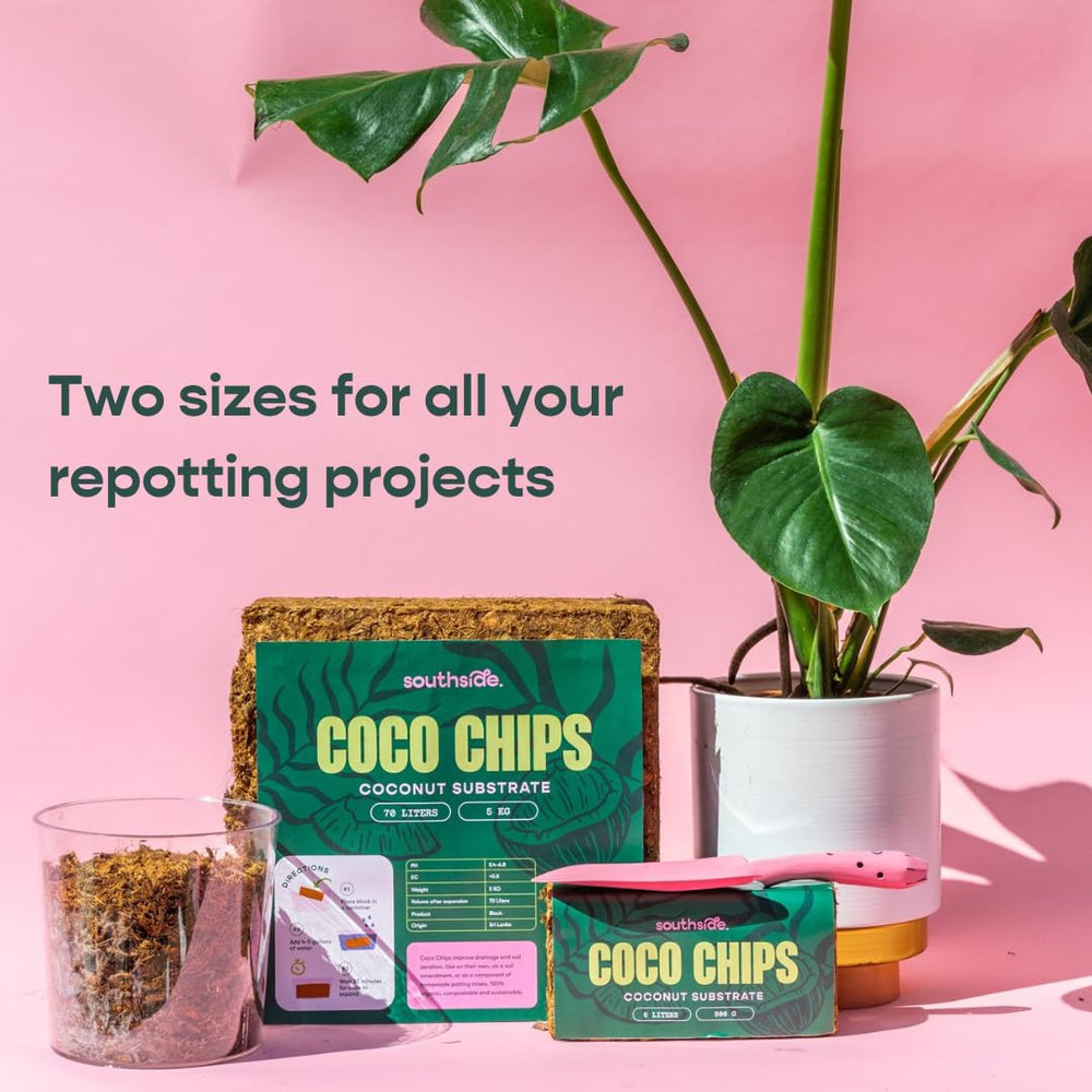 Southside Plants in-pot repotting with coco chips showing improved drainage benefit