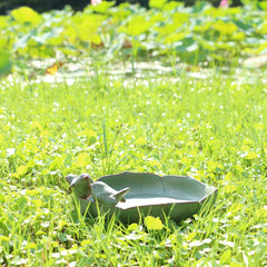 soxtianrui bird bath placed in a garden attracting birds and enhancing outdoor decor