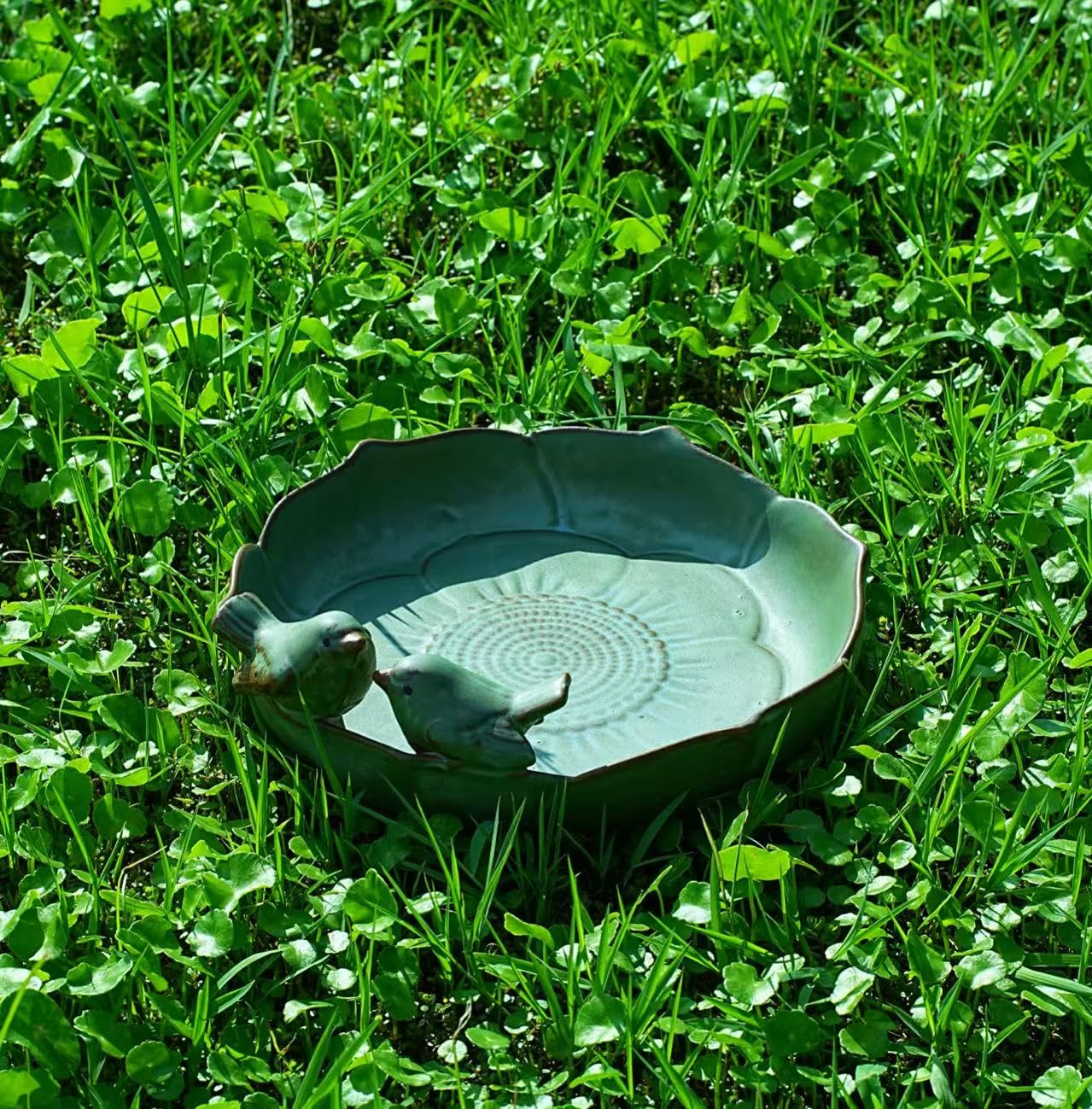 soxtianrui bowl with bird seed showing convenient ground-feeder use