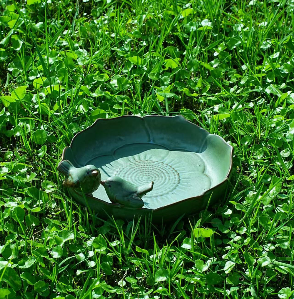 soxtianrui bowl with bird seed showing convenient ground-feeder use