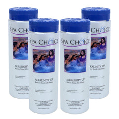 SpaChoice front packaging showing 2 lb 4-pack and clear dosing instructions benefit clarity