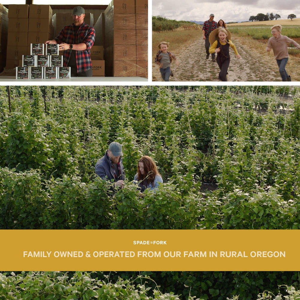 Spade To Fork illustrated growing guide open with step-by-step images